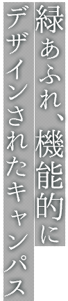 緑あふれ、機能的にデザインされたキャンパス