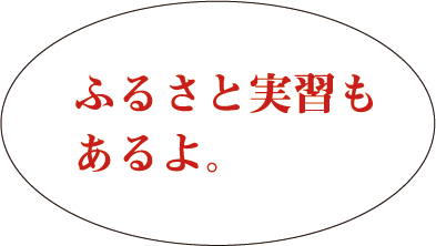 ふるさと実習もあるよ。