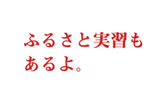 ふるさと実習もあるよ。