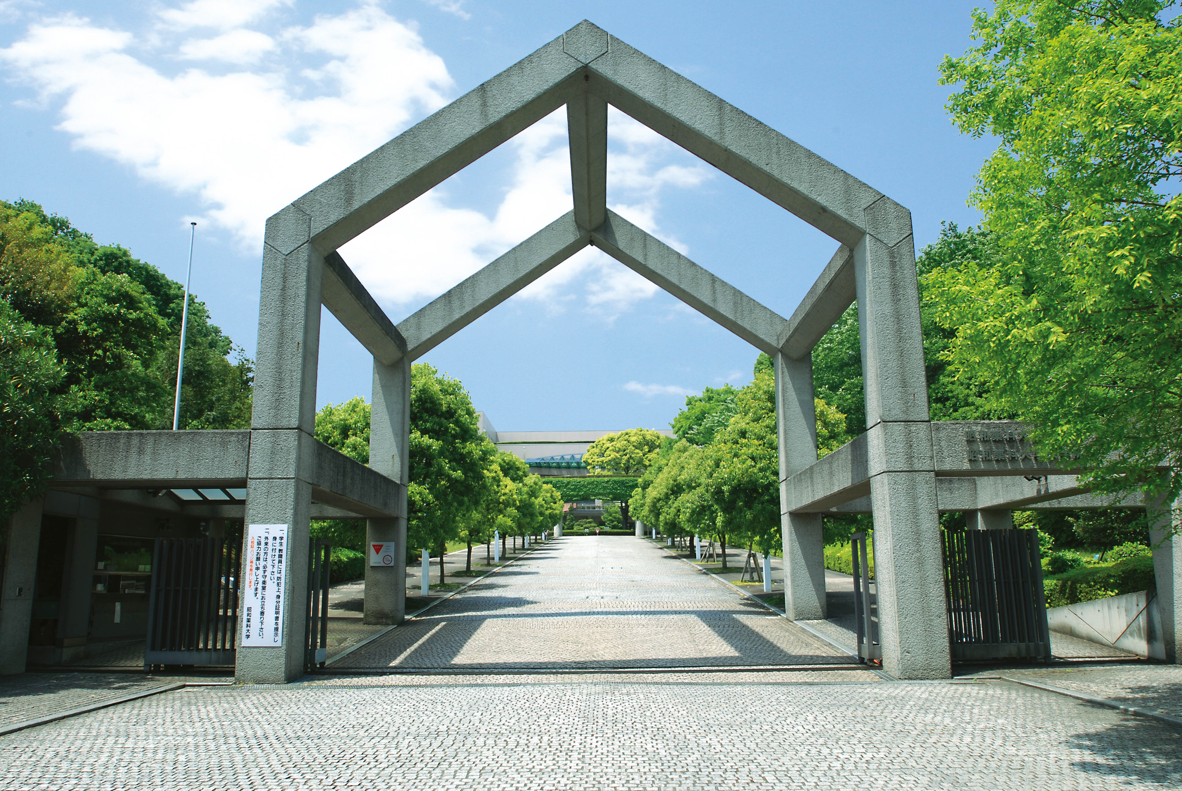 ご案内 大学見学をご希望の方へ 昭和薬科大学 ご案内 大学見学をご希望の方へ 昭和薬科大学